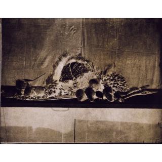 John Beasley Greene - Nature Morte Aux Choux, Années 1850