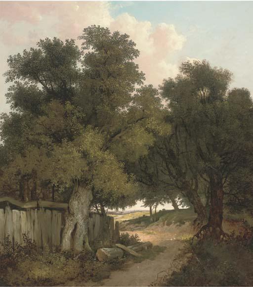 John Berney Ladbrooke - A rustic woodland track