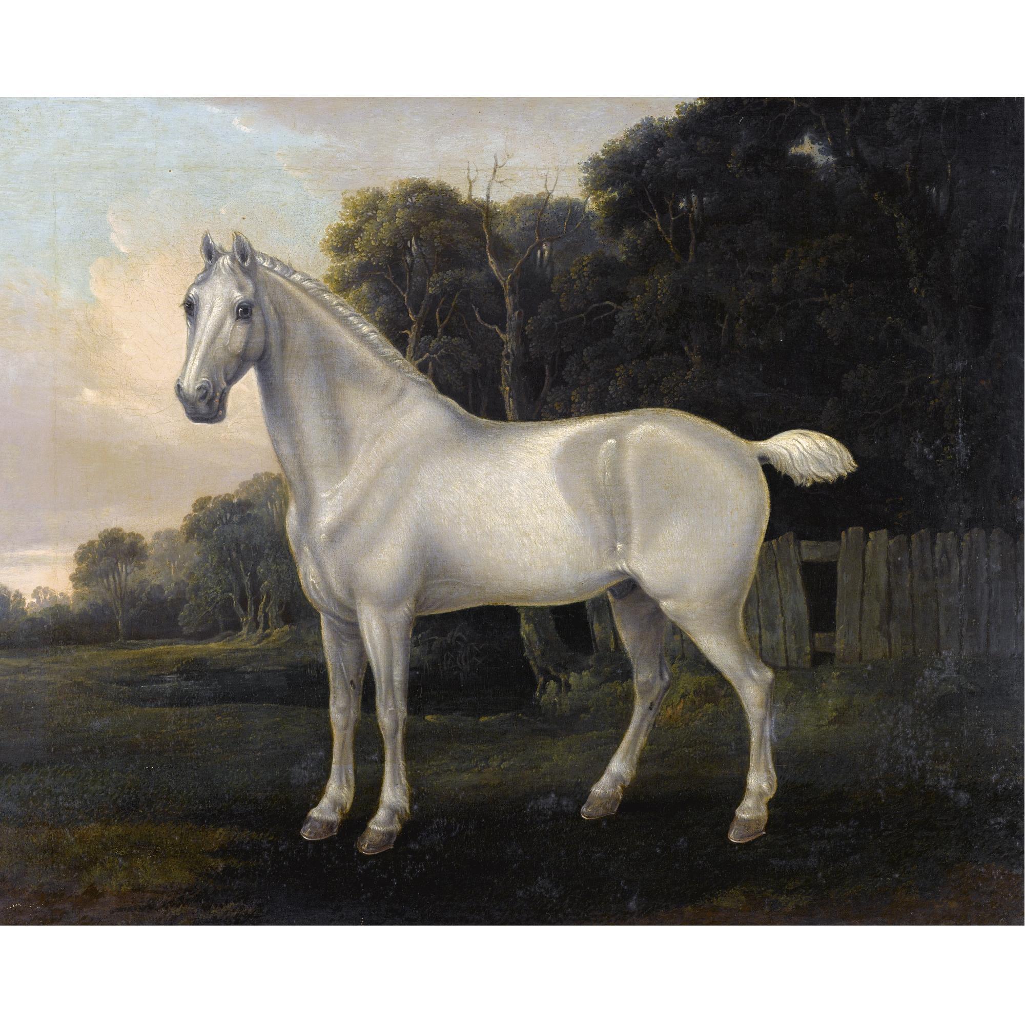 John Boultbee - A Grey In A Landscape