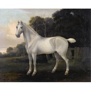 John Boultbee - A Grey In A Landscape