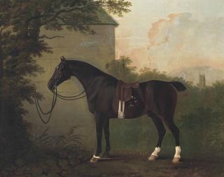 John Boultbee - A saddled bay hunter by a stable wall
