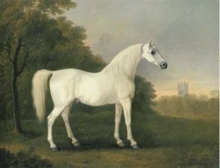 John Boultbee - Mambrino, a grey stallion in a wooded landscape