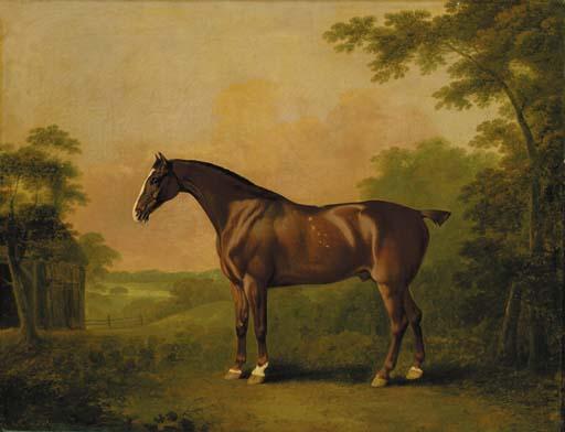 John Boultbee - Samson, a liver chestnut hunter, in a wooded landscape
