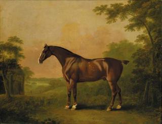 John Boultbee - Samson, a liver chestnut hunter, in a wooded landscape