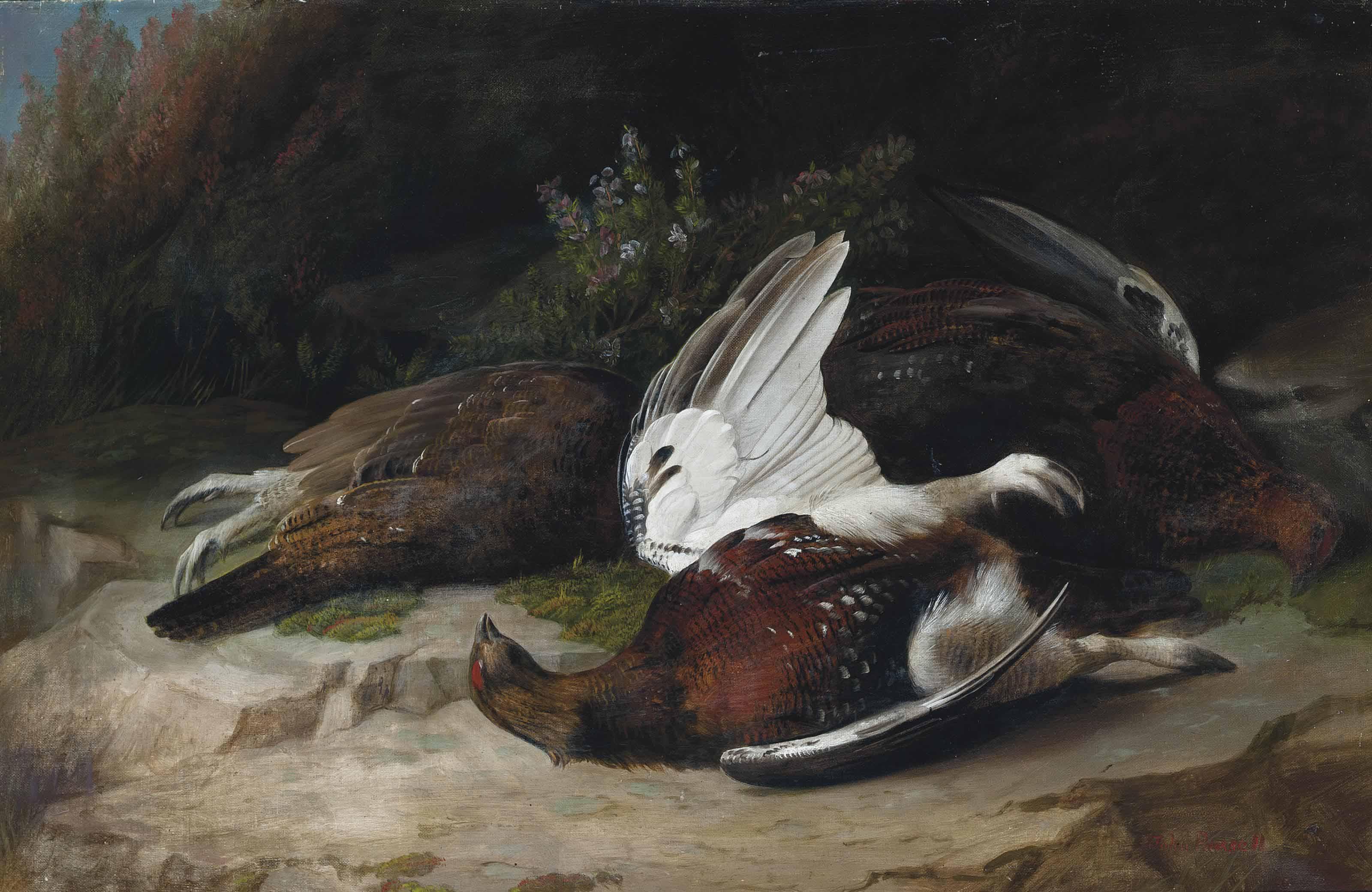 John Bucknell Russell - Grouse