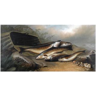 John Bucknell Russell - River Trout