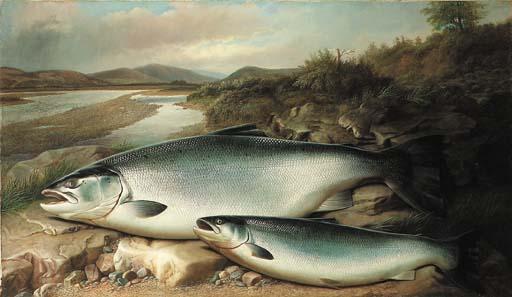 John Bucknell Russell - Salmon on a river bank