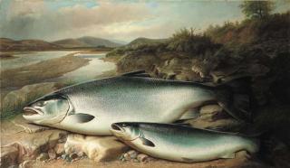 John Bucknell Russell - Salmon on a river bank