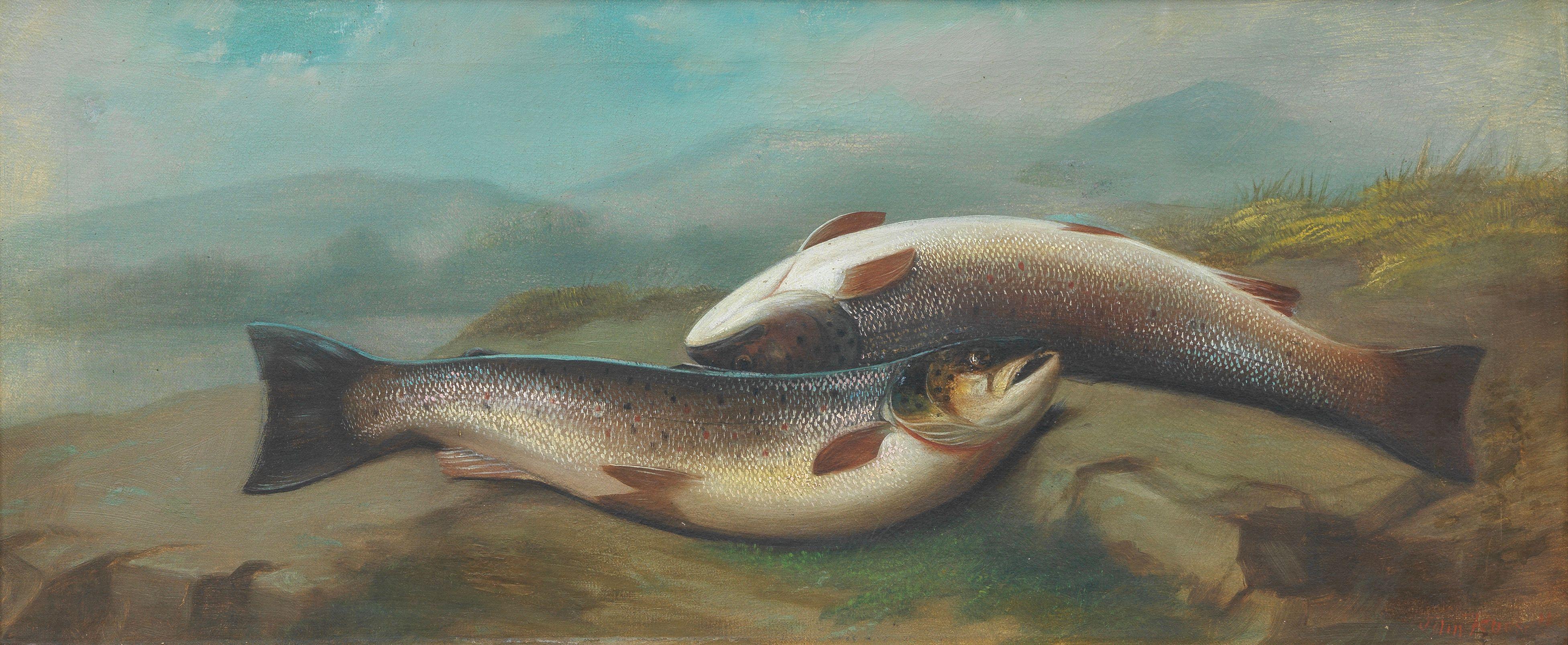 John Bucknell Russell - Salmon