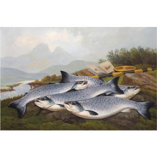 John Bucknell Russell - Sea Trout
