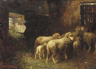 John Califano - Sheep In A Barn