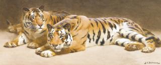 John Charles Dollman - Tigers; Jaguars