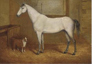 John Charles Maggs - A grey with a terrier in a stable