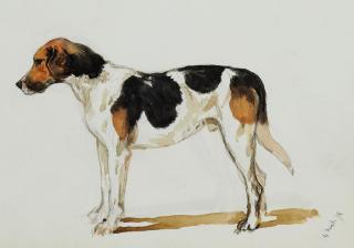 John Charlton, R.B.A. - A sketch book of studies of foxhounds, hunting scenes, and various studies