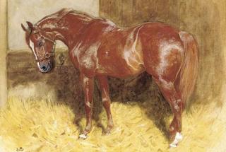 John Charlton, R.I., R.O.I., R.B.A. - A chestnut hunter in a stable