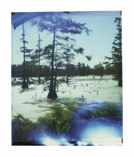 John Chiara - County Line Road at Annis Brake, Southwest, from Mississippi, 2014