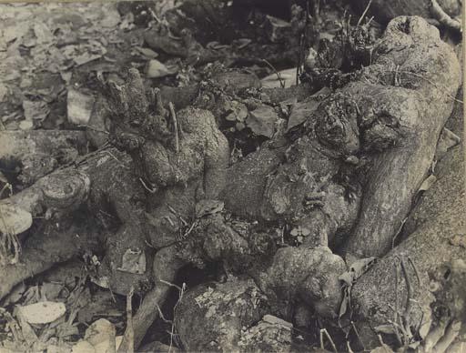 John Clarence Laughlin - Headless Monster with Young, 1948