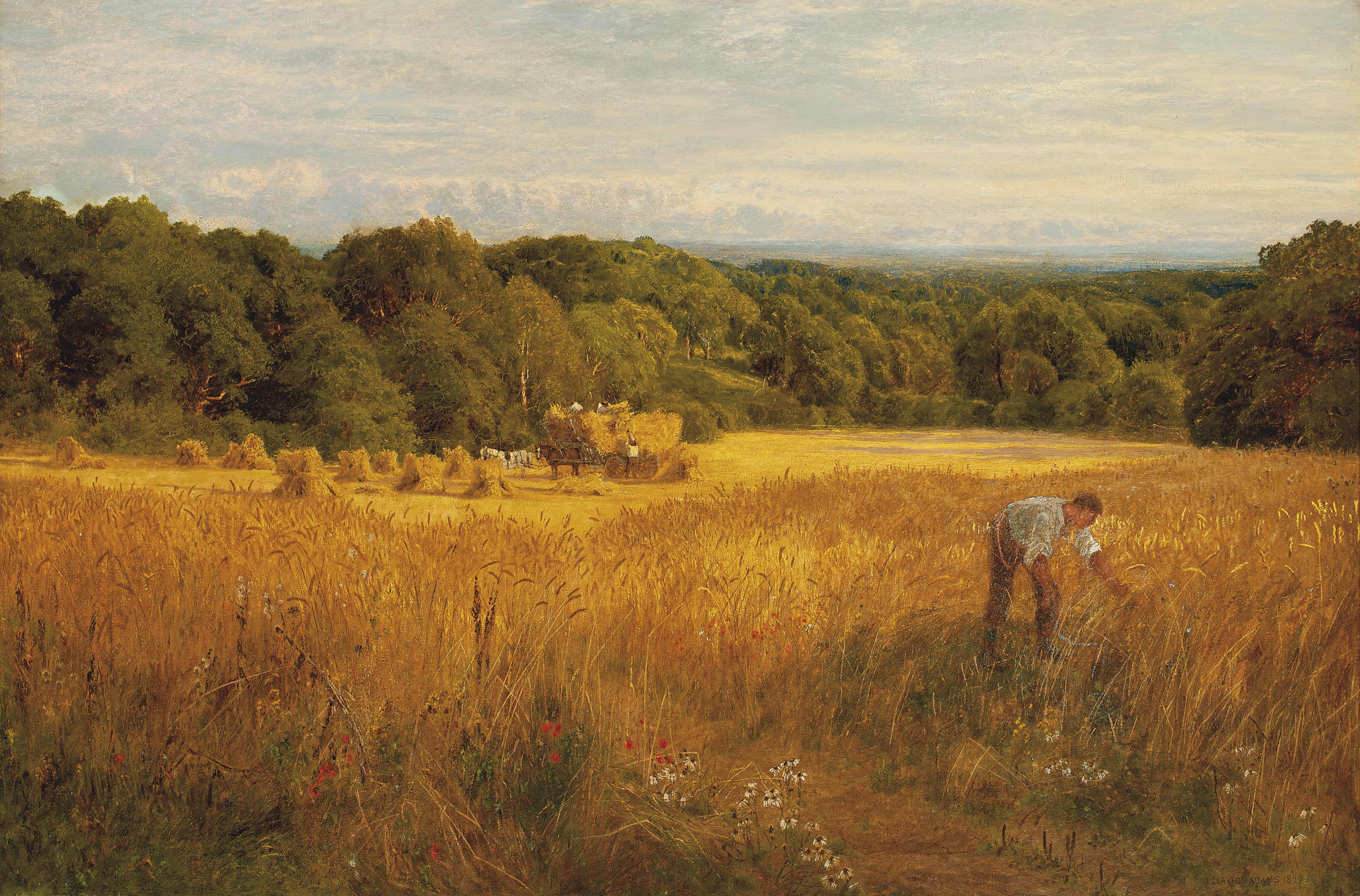 John Clayton Adams - A golden harvest