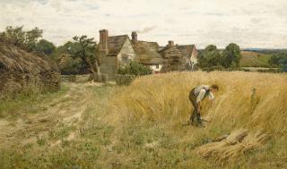 John Clayton Adams - British Harvesting Wheat