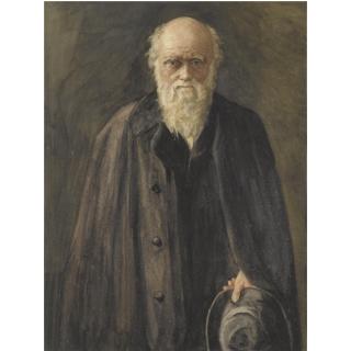 John Collier - Portrait Of Charles Darwin