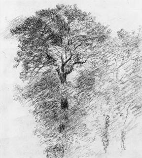 John Constable, R.A. - Elm Trees