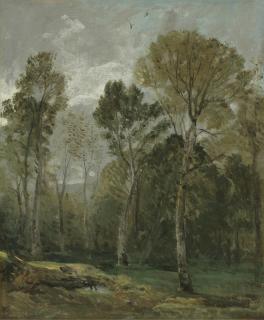 John Constable R.A. - View Of A Copse