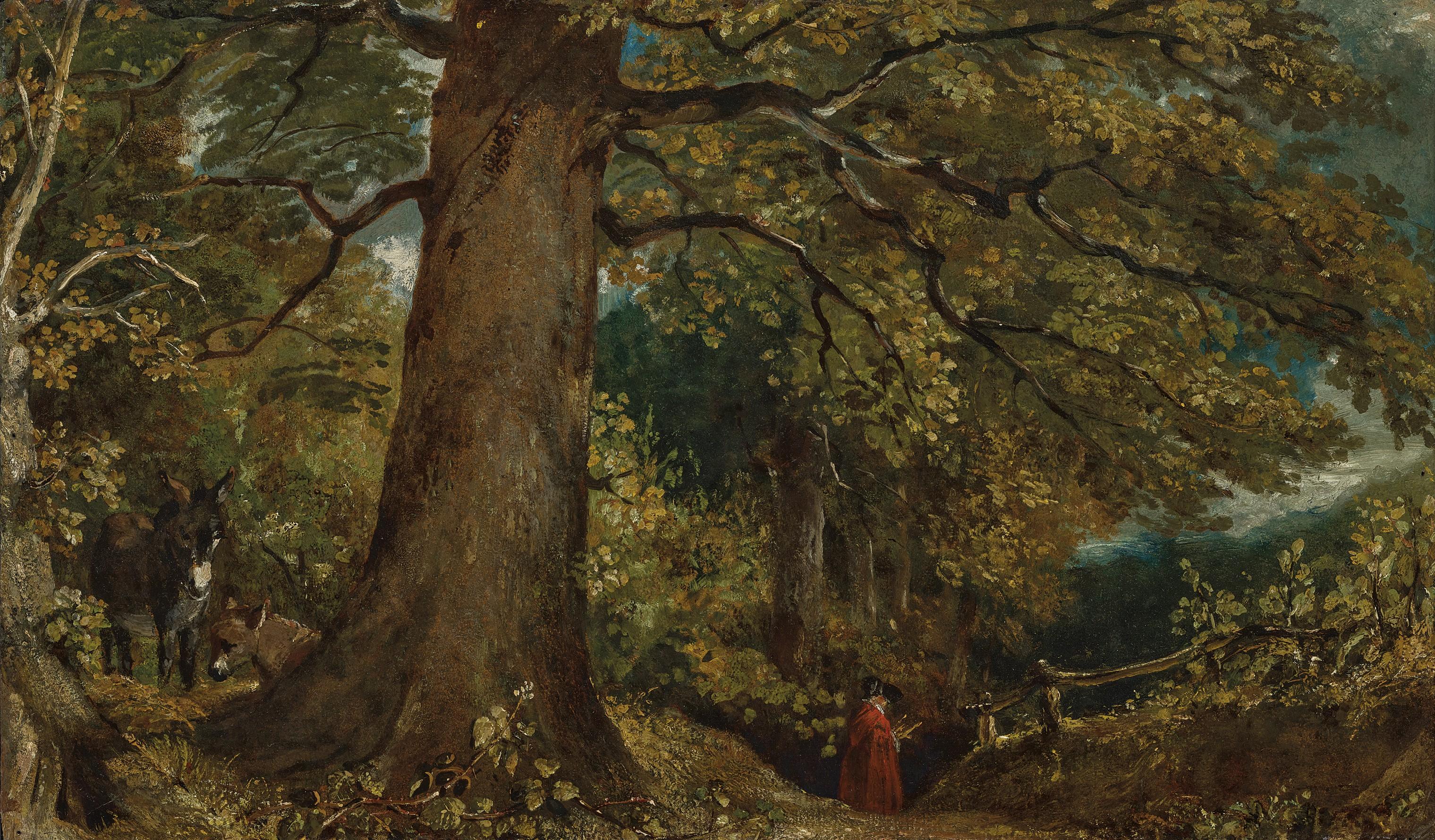 John Constable, R.A. - Woodland landscape