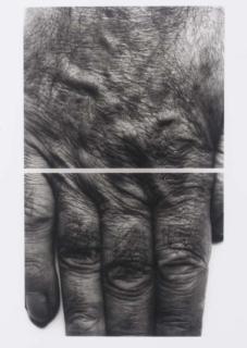 John Coplans - Sans titre