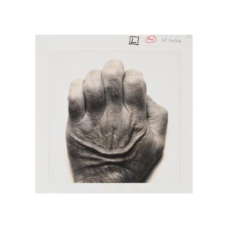 John Coplans - Self-portrait (back of hand #1)