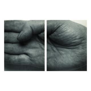 John Coplans - Self-Portrait (Hand, Two Panels, Horizontal)