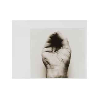 John Coplans - Self-portrait (Hand, two panels) & Self-portrait (Front Hand, pinched) (deux œuvres)