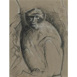 John Craxton, R.A. - Barbary Ape