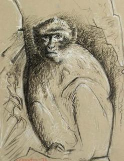 John Craxton, R.A. - Barbary Ape