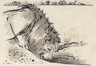 John Craxton, R.A. - Lion Drinking
