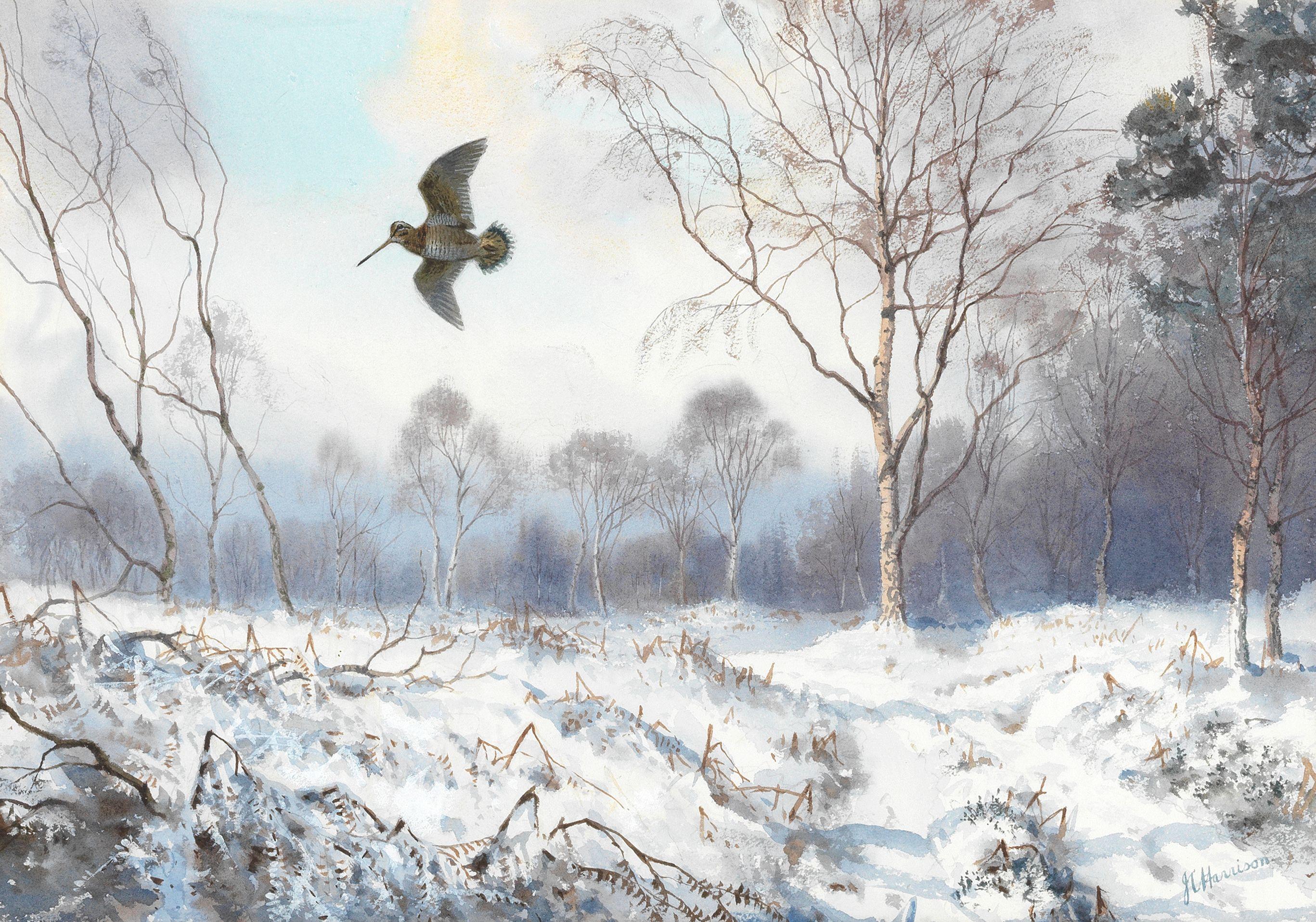 John Cyril Harrison - A woodcock in winter