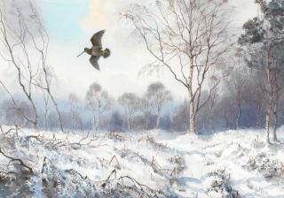 John Cyril Harrison - A woodcock in winter