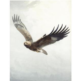 John Cyril Harrison - An Eagle In Flight