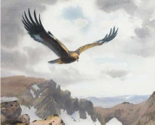 John Cyril Harrison - An eagle in flight