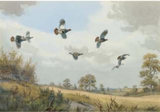 John Cyril Harrison - Good Partridge Country, Near Norwich