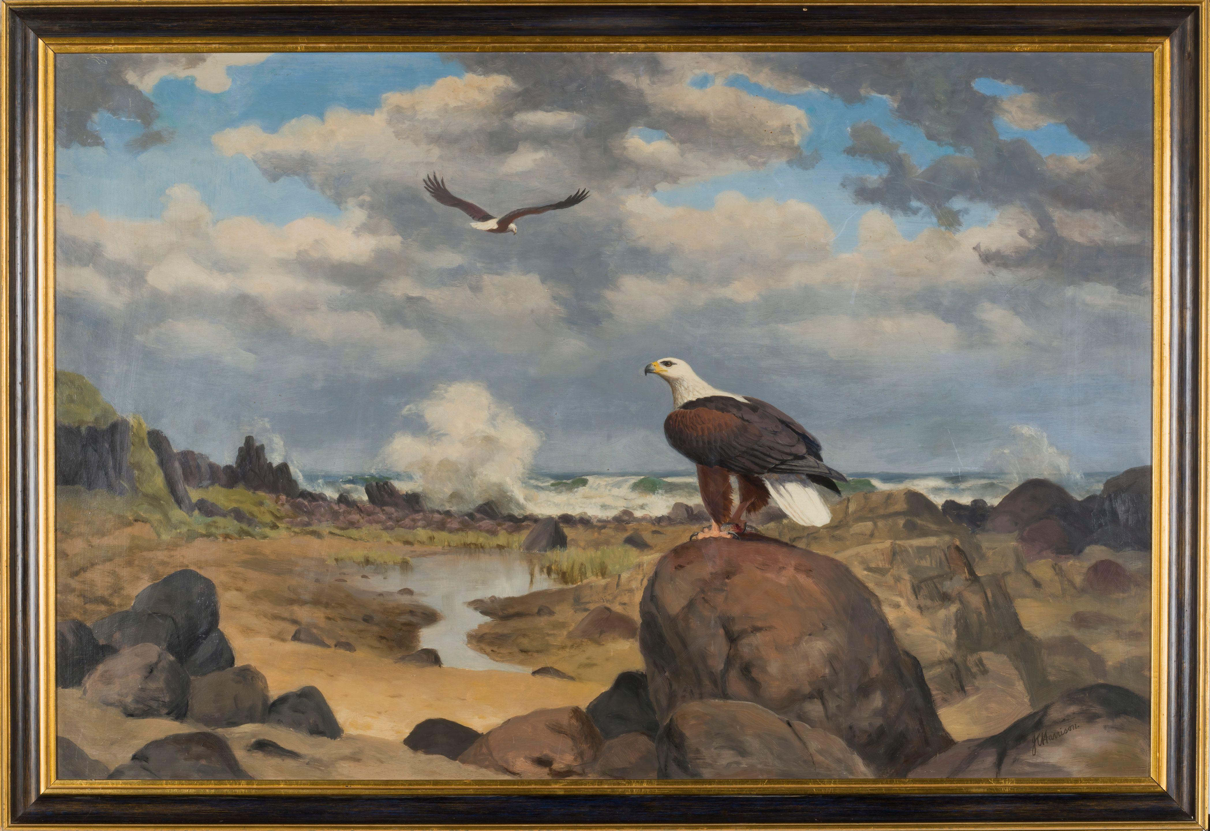 John Cyril Harrison - Les rapaces en bord de mer