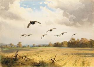 John Cyril Harrison - Partridge Over Stubble