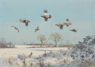 John Cyril Harrison - Partridges in flight over snowy fields