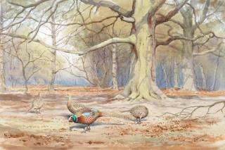 John Cyril Harrison - Pheasants Under Beech Trees