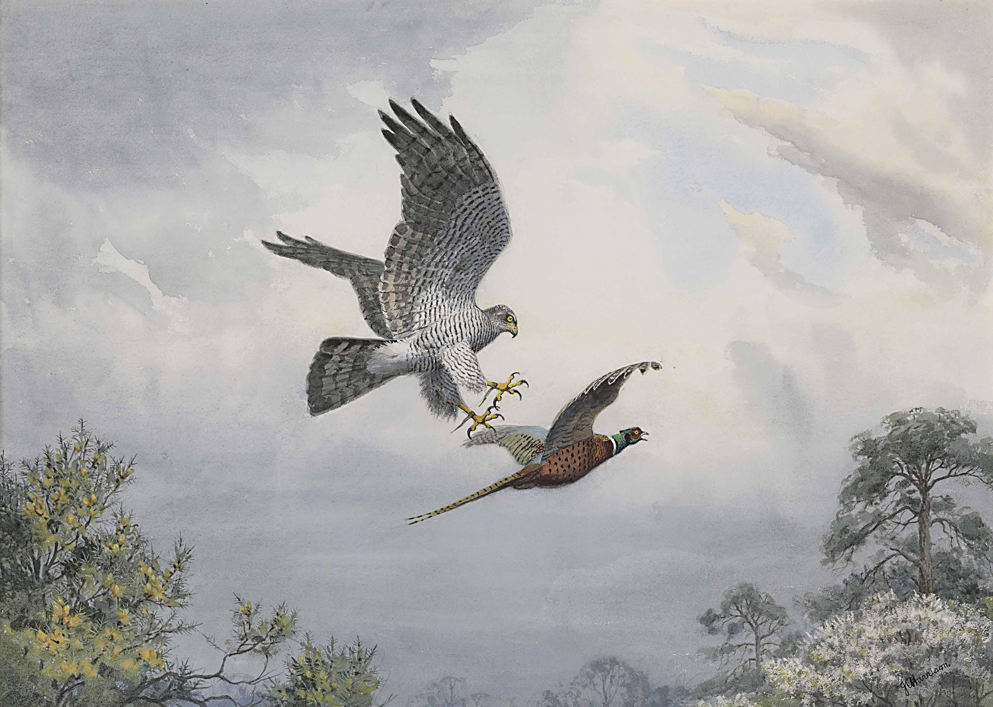 John Cyril Harrison - Shinshu, Her 523Rd Head Of Quarry, 19Th April 1976