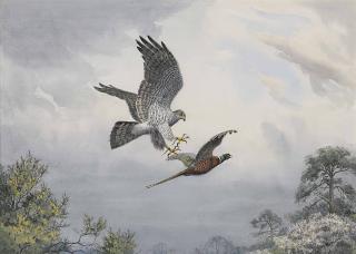 John Cyril Harrison - Shinshu, Her 523Rd Head Of Quarry, 19Th April 1976