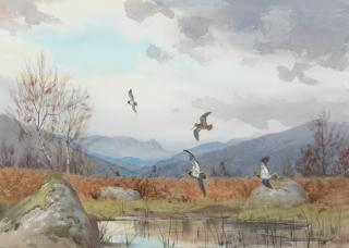 John Cyril Harrison - Snipe at Invershin