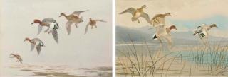 John Cyril Harrison - Widgeon Coming In; And Coming Into The Loch
