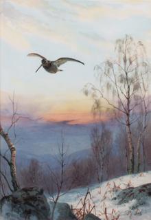 John Cyril Harrison - Woodcock Flying Over a Wooded Winter Landscape