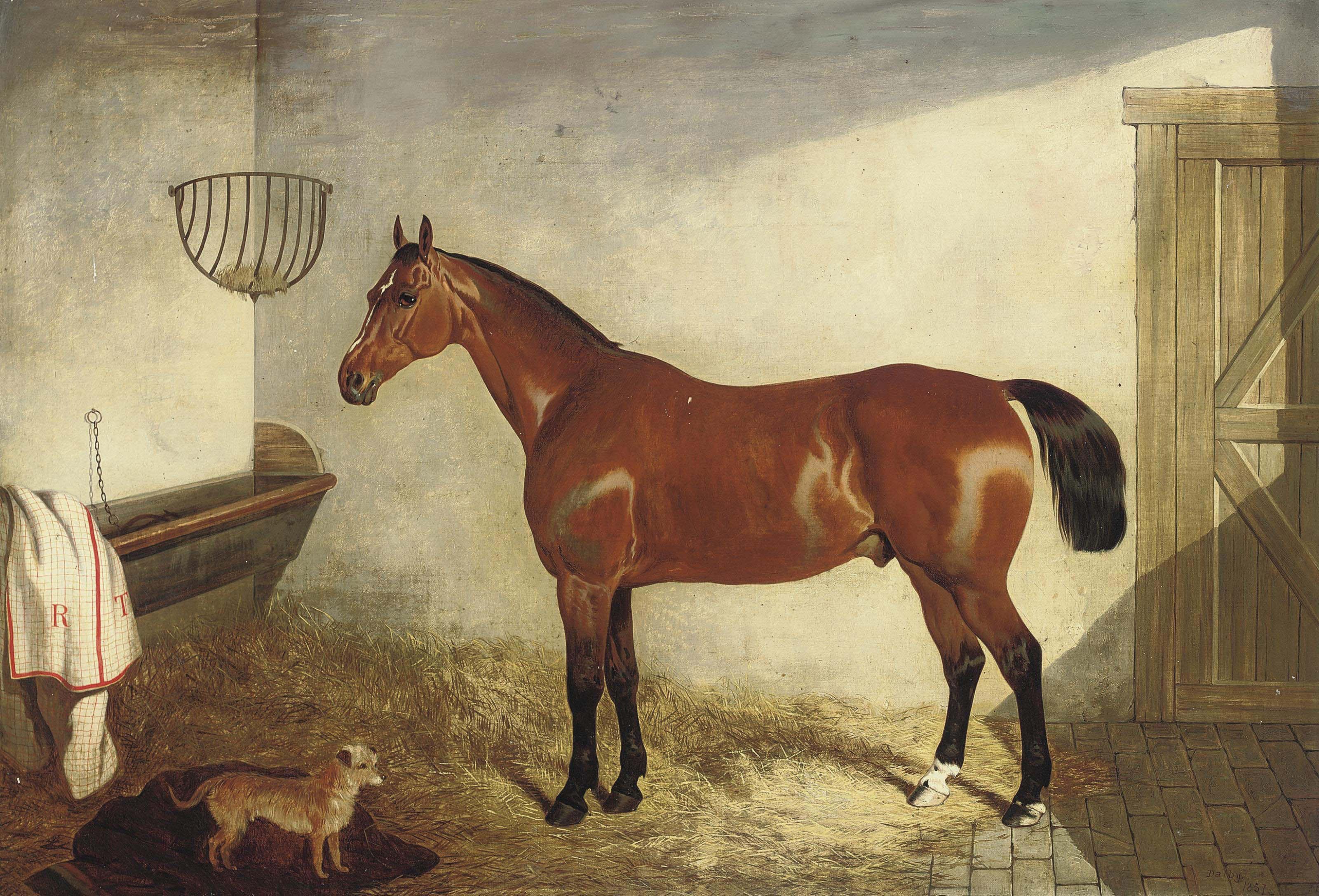 John Dalby - A bay hunter in a stable