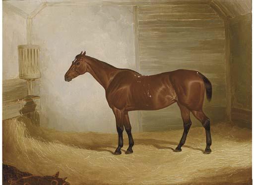 John Dalby - A bay in a stable